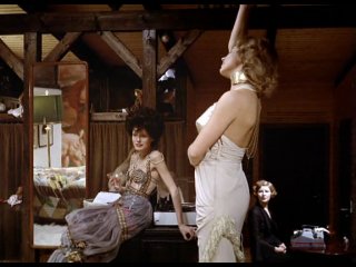 the bitter tears of petra von kant / die bitteren tr nen der petra von kant / rainer werner fassbinder, 1972 (drama / germany)